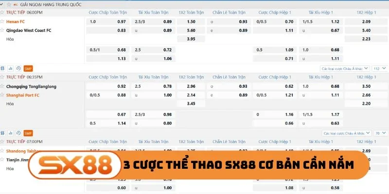 3 loại cược thể thao SX88 cơ bản cần nắm rõ