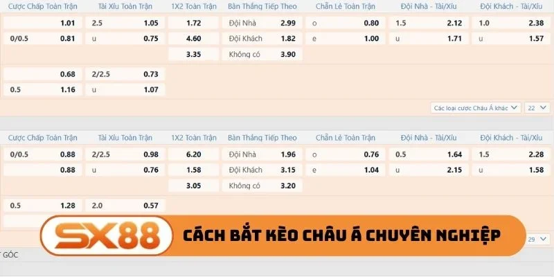Cách bắt kèo châu Á chuyên nghiệp