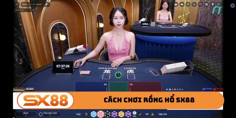 Rồng Hổ SX88
